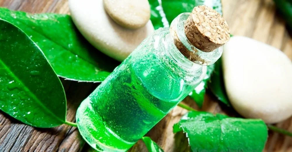 Tea Tree Oil FOR SKIN RASHES